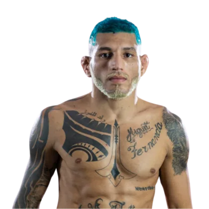 Marcelo Hulk